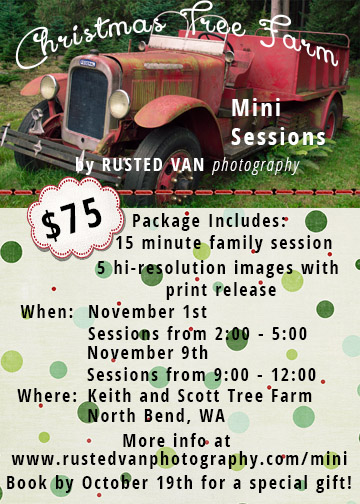 Tree Farm Mini Sessions 2