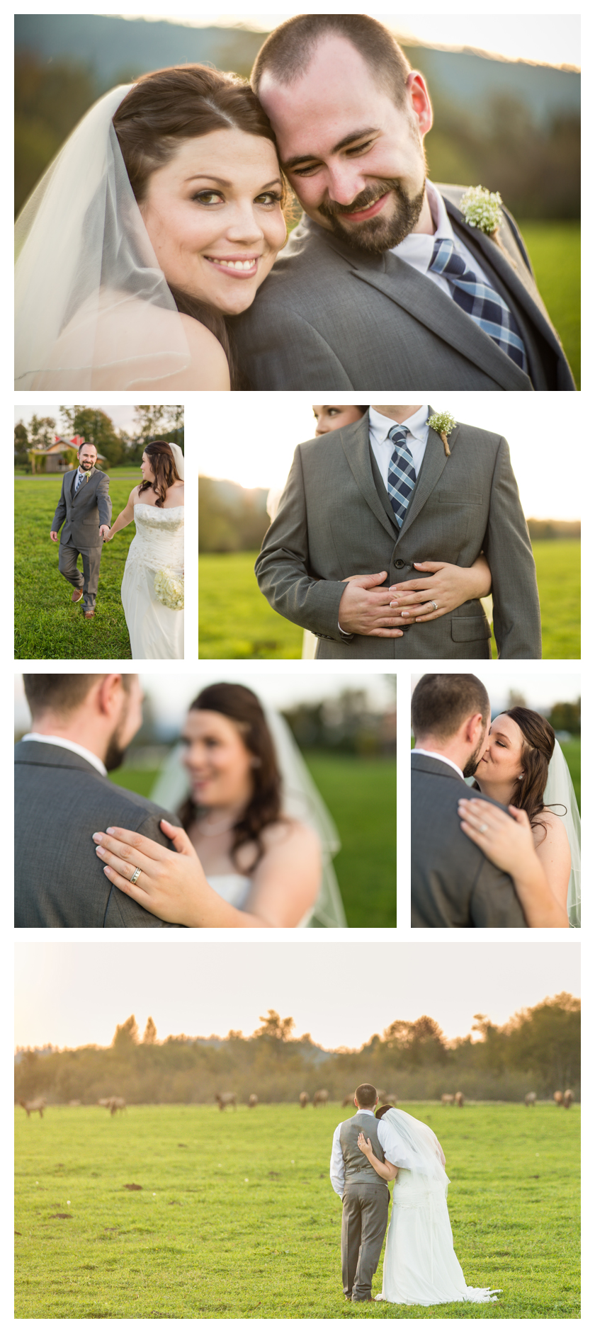 {Meadowbrook Farm Rustic Wedding} Rusted Van Photography