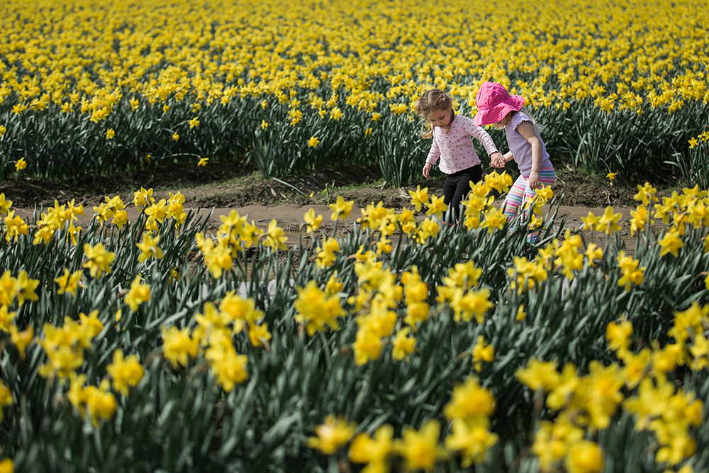 5 Tips and Ideas for Spring Photos YOU can take!